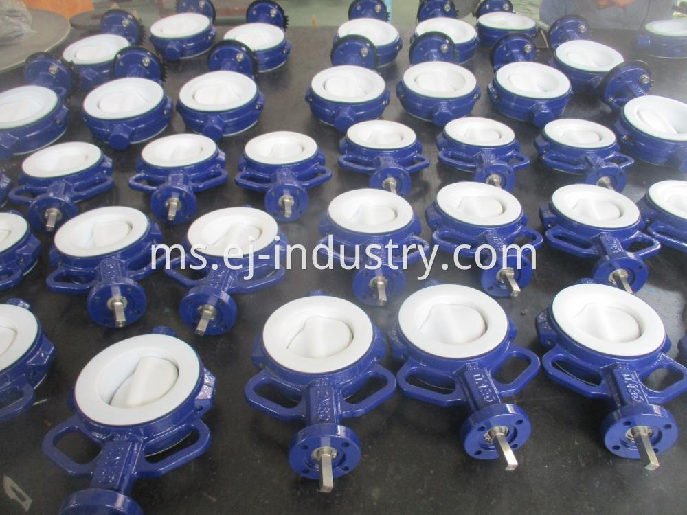 Ptfe Seat Butterfly Valves